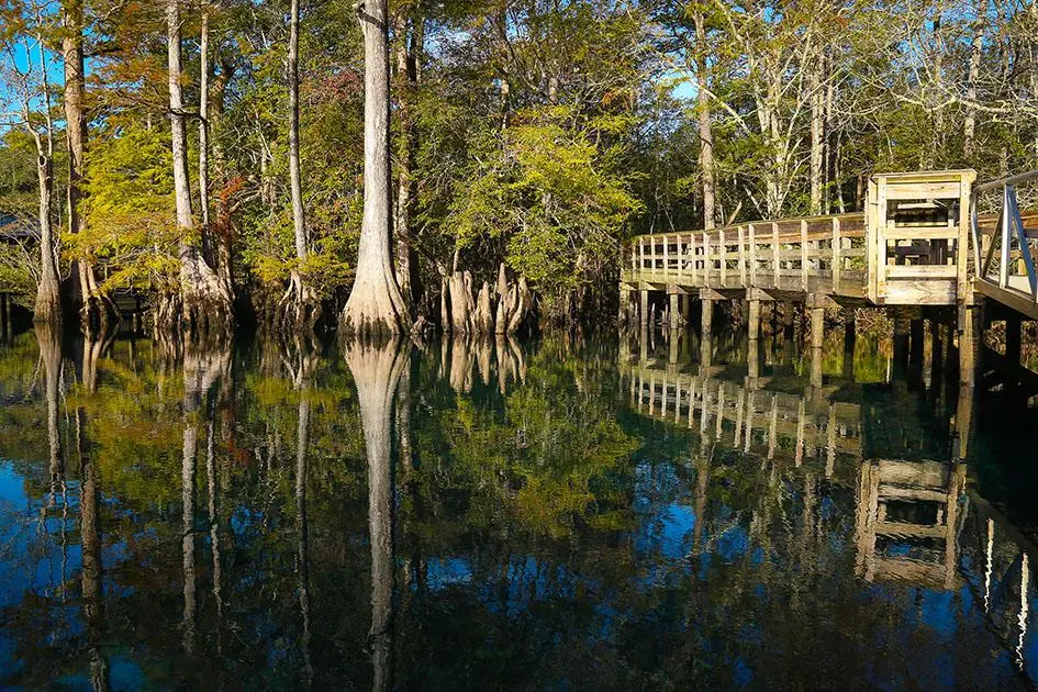 James Dowgul Criminal Defense Law Holmes County Florida